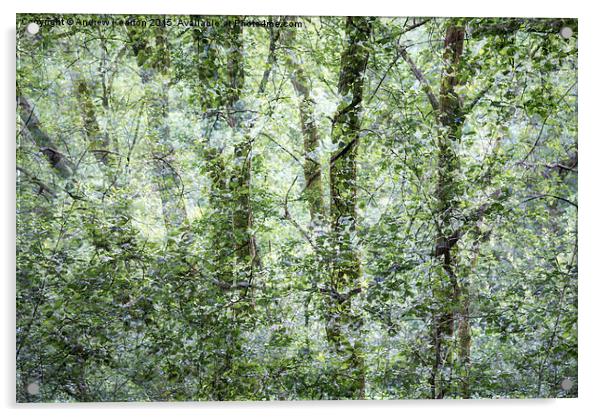  Pattern of greens in the woods Acrylic by Andrew Kearton