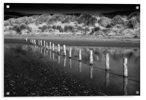  Posts and dunes at Borth beach, Wales Acrylic by Andrew Kearton