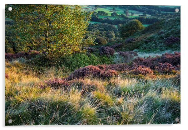  Colours and textures of September Acrylic by Andrew Kearton