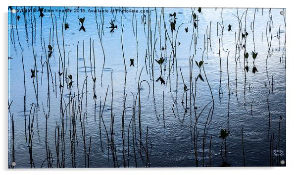  Raindrops in the Loch Acrylic by Andrew Kearton