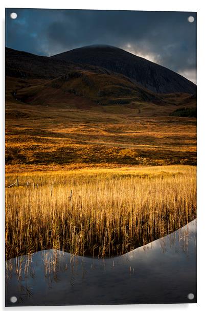  Golden reeds, Loch Cill Chriosd, Skye Acrylic by Andrew Kearton