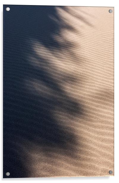  Shadows on the sand Acrylic by Andrew Kearton