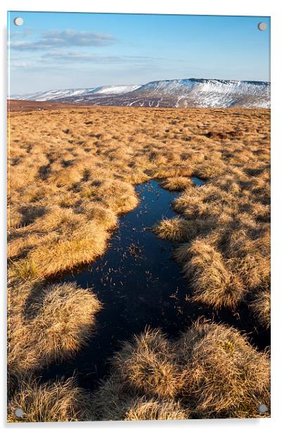  Winter on the moors  Acrylic by Andrew Kearton
