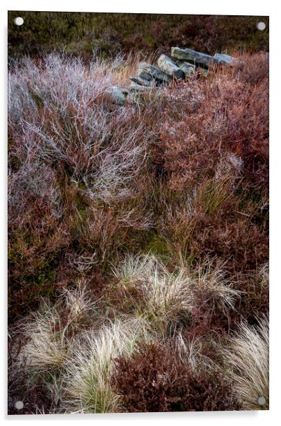 Textures in a moorland landscape Acrylic by Andrew Kearton