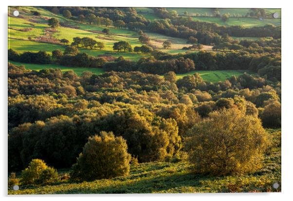 English landscape in mellow autumn sunlight Acrylic by Andrew Kearton