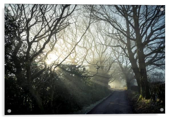 Woodseats lane on a February morning Acrylic by Andrew Kearton