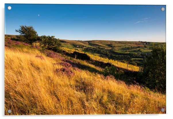 Summer grasses below Coombes Acrylic by Andrew Kearton