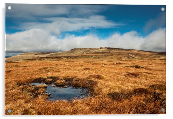 High Peak moorland Acrylic by Andrew Kearton
