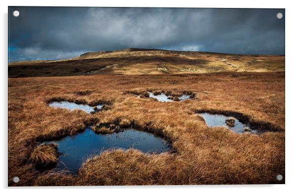 Moorland pools on Bleaklow Acrylic by Andrew Kearton