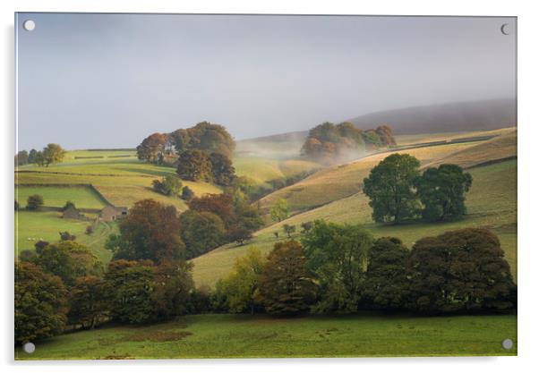 Autumnal hillside in the Derwent valley Acrylic by Andrew Kearton