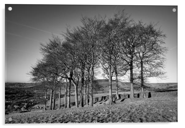 Twenty trees, Hayfield, Derbyshire Acrylic by Andrew Kearton