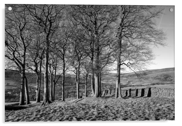 Twenty trees, Hayfield, Derbyshire Acrylic by Andrew Kearton