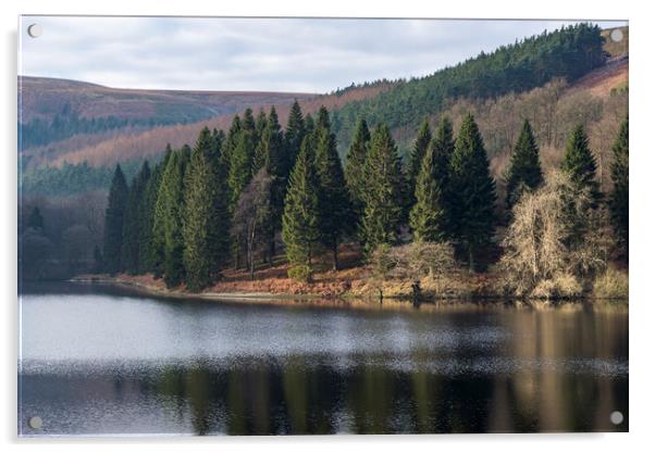 Forest trees beside Derwent reservoir, Derbyshire Acrylic by Andrew Kearton