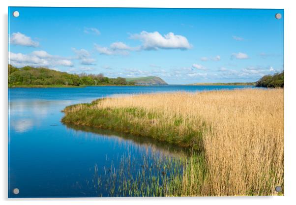 River Nevern, Newport, Pembrokeshire Acrylic by Andrew Kearton