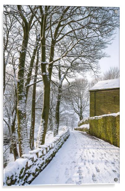 Coldwell Clough, Hayfield, Derbyshire Acrylic by Andrew Kearton