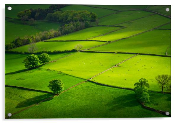 Green fields at Hayfield, Derbyshire Acrylic by Andrew Kearton