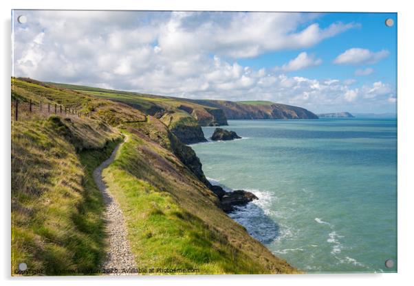 Coast path at Ceibwr bay, Pembrokeshire, Wales Acrylic by Andrew Kearton