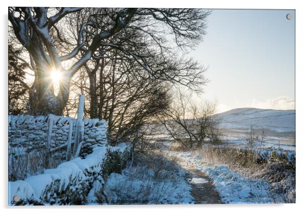 Path to Lantern Pike on a winter morning Acrylic by Andrew Kearton
