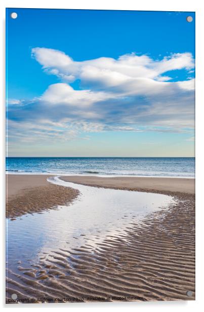 Filey Bay, North Yorkshire, England Acrylic by Andrew Kearton