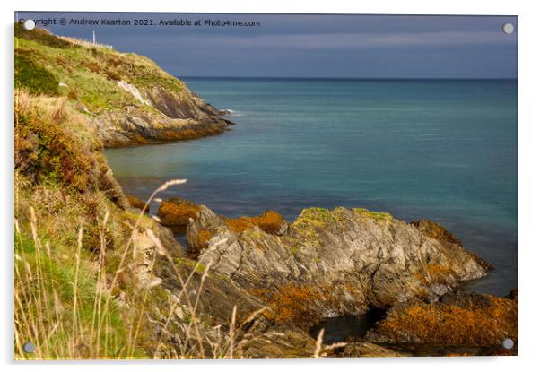 Rocky coastline at Newport Parrog, Pembrokeshire Acrylic by Andrew Kearton