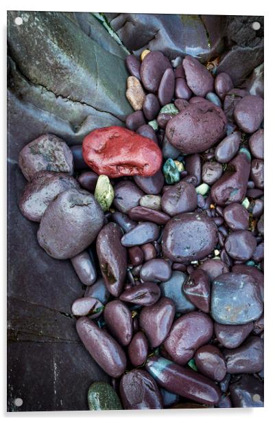 Purple rocks at Abermawr, Pembrokeshire, Wales Acrylic by Andrew Kearton