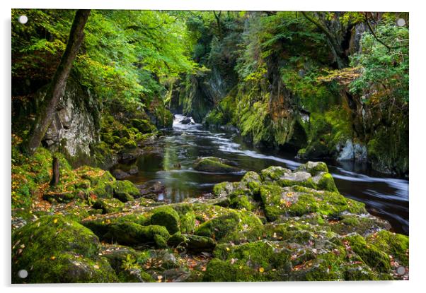 Fairy Glen, Betws-y-Coed, North Wales Acrylic by Andrew Kearton