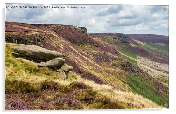 Heather flowering on slopes of Kinder Scout, Peak District Acrylic by Andrew Kearton