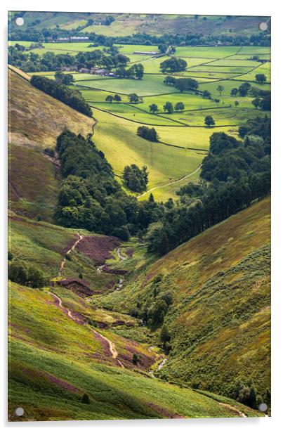 Grinsbrook Clough, Edale, Peak District Acrylic by Andrew Kearton