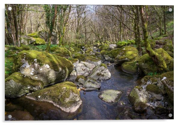 The Afon Dulyn, Tal-y-Bont, North Wales Acrylic by Andrew Kearton