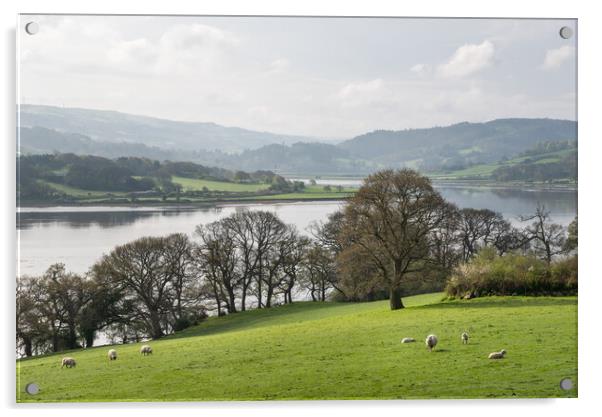 Peaceful scene beside the river Conwy, North Wales Acrylic by Andrew Kearton