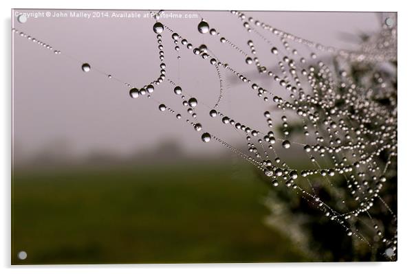 Dewdrops on a spiders web Acrylic by John Malley