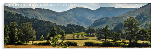  Summer Meadows in Patterdale Acrylic by John Malley