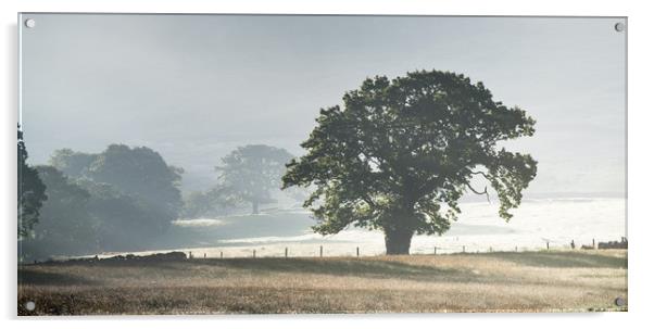 The English Oak Acrylic by John Malley