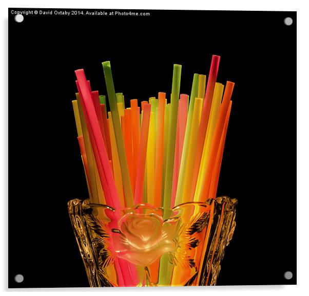  Still life Straws in Vase Acrylic by David Oxtaby  ARPS
