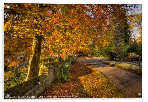 Autumn trees at Egton Acrylic by David Oxtaby  ARPS
