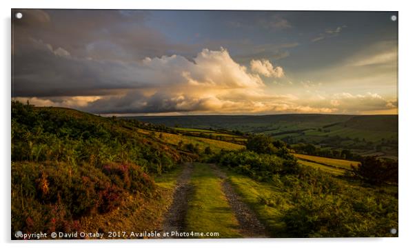 Sun setting over Lealholm moors Acrylic by David Oxtaby  ARPS