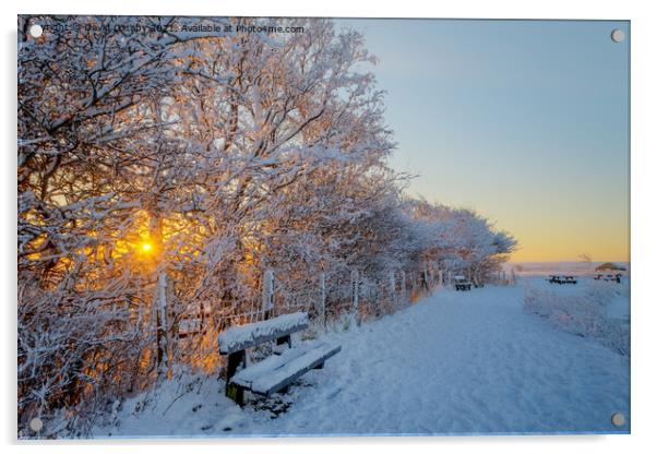 Winter sunrise  Acrylic by David Oxtaby  ARPS