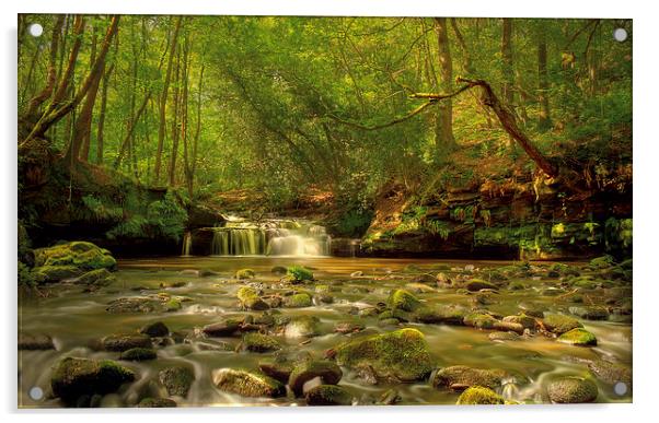 Babbling Brook  Acrylic by IAN SUFFIELD