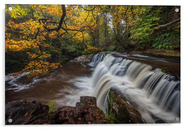 sgwd y pannwr - Autumn Waterfall Wales Acrylic by Jonathan Smith
