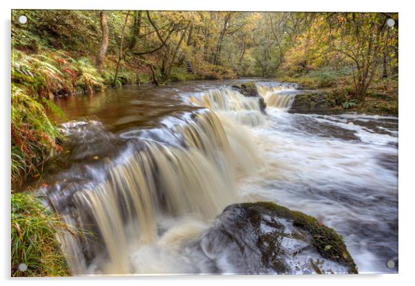 Autumn Waterfall - Brecon Beacons - Wales Acrylic by Jonathan Smith