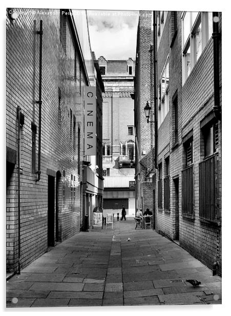 Tyneside Cinema Acrylic by Alexander Perry