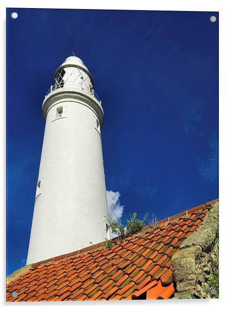 St Marys Lighthouse Acrylic by Alexander Perry