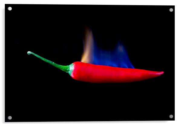 Red Hot Chilli Acrylic by Des O'Connor