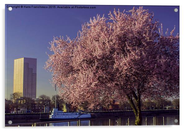  Springtime in Portland Acrylic by Hans Franchesco