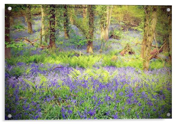  Painted Bluebell Wooded Carpet Acrylic by Zena Clothier
