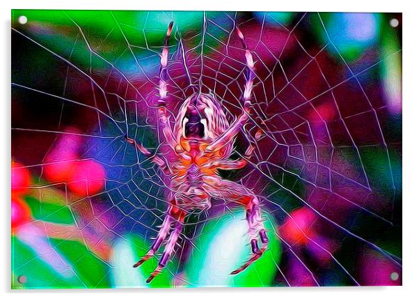  A spider of a different kind. Acrylic by Catherine Cross