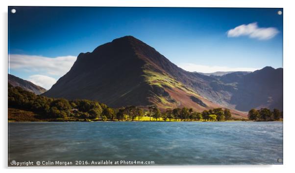 Buttermere Pines and Fleetwith Pike, Buttermere Acrylic by Colin Morgan