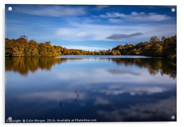 Bolam Lake Tranquil Autumn Blue Acrylic by Colin Morgan