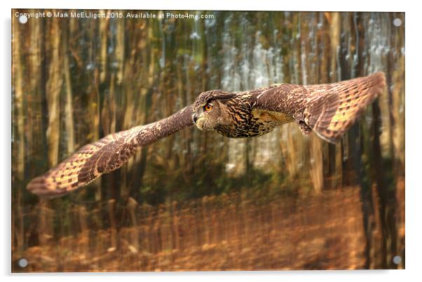  European Eagle Owl Acrylic by Mark McElligott