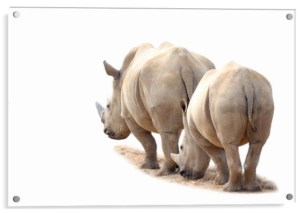 Rhino Mother and Child Acrylic by Mark McElligott